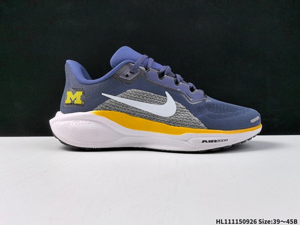 Air Zoom Pegasus 41 IB3269-400