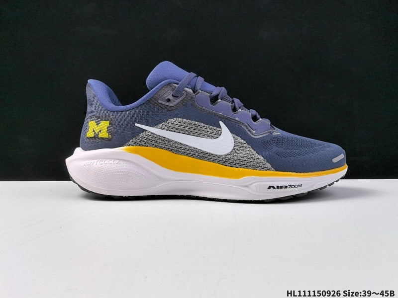 Air Zoom Pegasus 41 IB3269-400